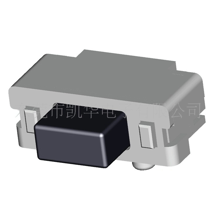 Switch key