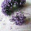 Flower Flower supply Magou iron sugar box lavender wedding wedding candy box leek flower home decoration slag flower spot