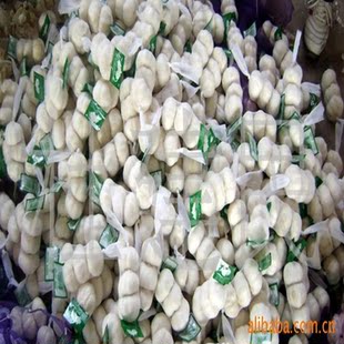 ���l����Դ�^���S������졢���l��Ƥ�⡢�t�⣬�������^�Ƀ��|