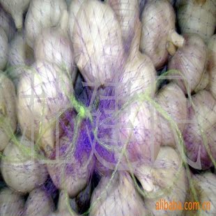 ɽ�|����S��ֱ������ ��Ƥ���⡢�t�⣬��Ƥ�⣬�S��ֱ�N������