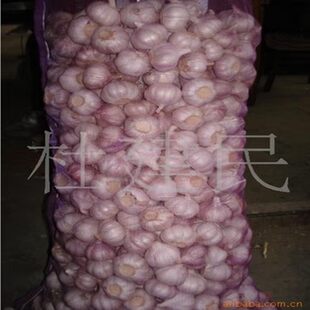 �����������r�����Ƥ����l����������l���ȥƤ��������|