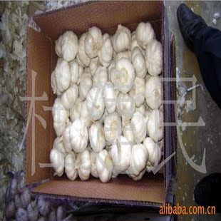 ������ڹ�˾������a�ع��S�L�ڹ����t�⣬�״��� �������l