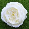 Qt1-25 diameter 9cm10 color Baotou peony simulation flower foreign trade wedding decoration peony fake flower simulation flower