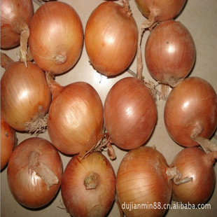 ���S����ֱ�N����5��8cm/7��10cm�t���[���S���[���l���r���B�Nֲ