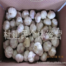 大蒜产地，大量供应纯白蒜，红蒜，蒜米料，批发冷库保鲜大蒜