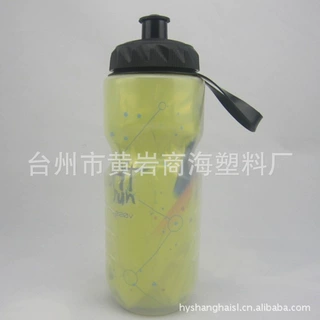 供应500ml铝纸保温水壶 塑料水壶 运动水壶 塑料保温铝膜纸水壶