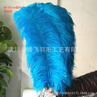 �S�ҹ���60-65cm�r�Bë����������ë�廨�b���ë�֗U�r�B��ë
