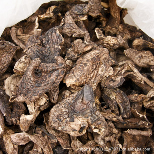 ���l�ڻ��ƾ� �ڻ��� Ұ���ڻ��� �ڻ��Ƹ�؛