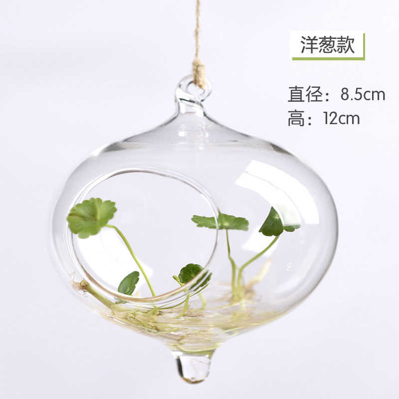 Creativo colgante de vidrio transparente florero simple hidropónico pequeña botella colgante de jardinería interior decoración del hogar botella de ventas directas de la fábrica