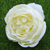 Qt1-25 diameter 9cm10 color Baotou peony simulation flower foreign trade wedding decoration peony fake flower simulation flower