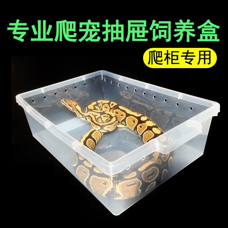 Классический выдвижной контейнер формата А4 для разведения рептилий, ПВХ-шкаф для рептилий, полка-шкаф, выдвижной контейнер для игрушек для питомцев, таких как леопардовые гекконы и игрушечные змеи
