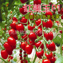 �ۺ̼t����F1�}Ů���N��  ����߮a�����tɫ���� ����С���ѷN��