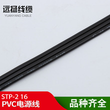 hP| SPT-2Դ 2о SֱN r񌍻