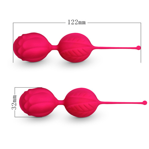 Manufacturer Direct Sale Women's Brand Smart Ball Postpartum Recovery Vaginal Dumbbell Private Area Tightening Recovery Exercise Trainer