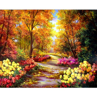 �羳һ�����l�����ͮ����l�o���ք�4050���R�dwish���ebay�S���P