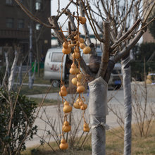 �B֦С�������J��� �����������Ҿ��b��B��С���J���