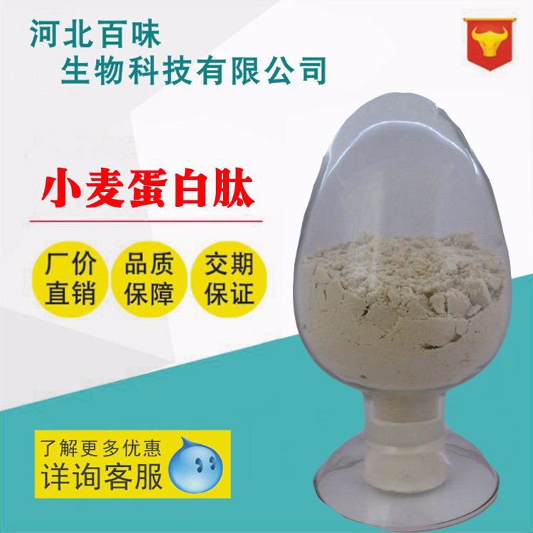 现货供应 小麦蛋白肽 食品级 小麦肽