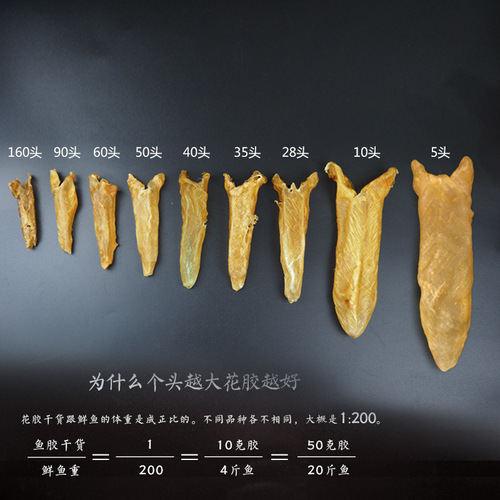 North Sea Yellow Flower Jelly Cod Fish Jelly Shark Fish Jelly Traditional Tonic Yellow Flower Jelly Cylinder Shark Fish Jelly Wholesale Non-Instant Fish Jelly