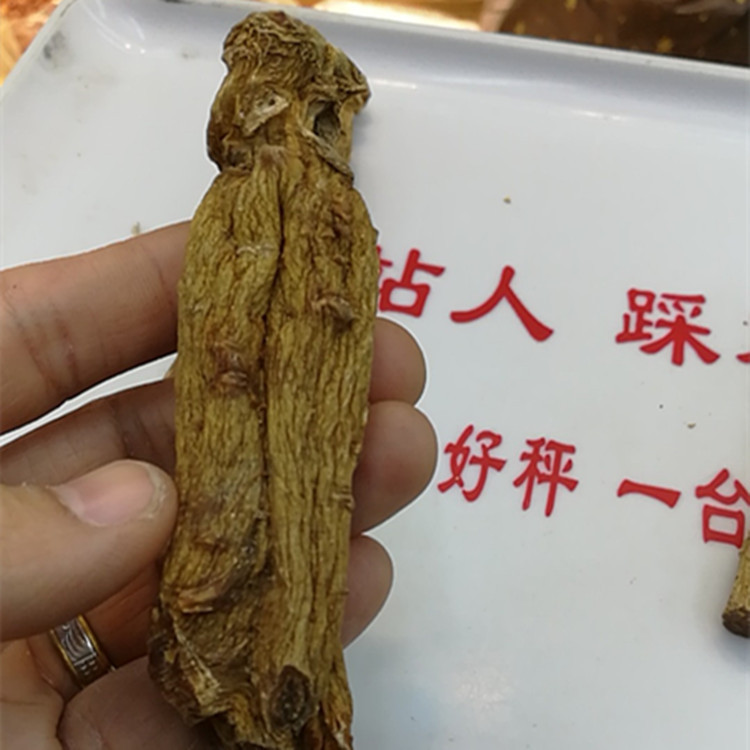 ������ �����������Ǿ��Ƹ�����