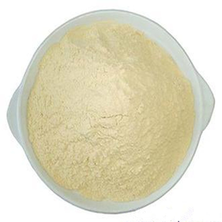 厂家专销R1326-1玻璃树脂磨具用高精度氧化铈抛光粉