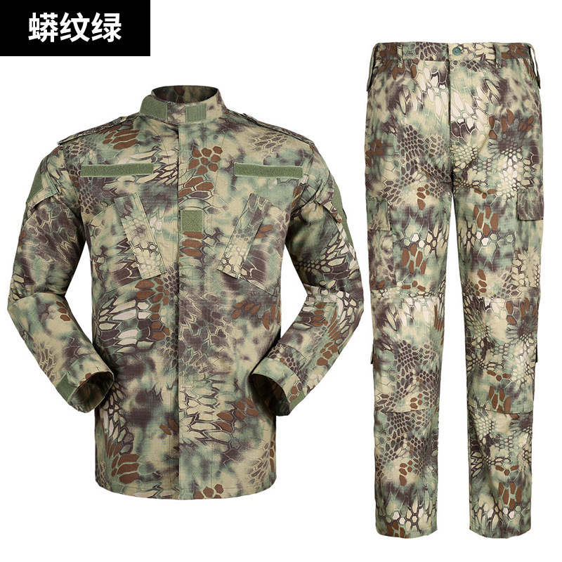"Set" mosquito mosquito green camouflage grid