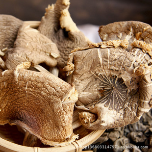 �u��  �u�v�� ����u���� ���Ұ���� ����ă�