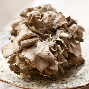 ���lʳ�þ� �Ҙ仨 �ɻҘ仨 �Ҙ仨 �Ҙ仨���l �Ҙ仨�r��