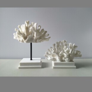 ���S�F؛���l����ɺ������ʽ�����������P�͏d�ҾӔ[��