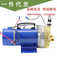 果树打药机农用直流电动48v60v手提高压喷雾机电动180隔膜打药泵