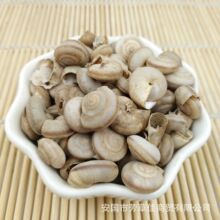 ���l����΁ţ�� ΁ţ ����·