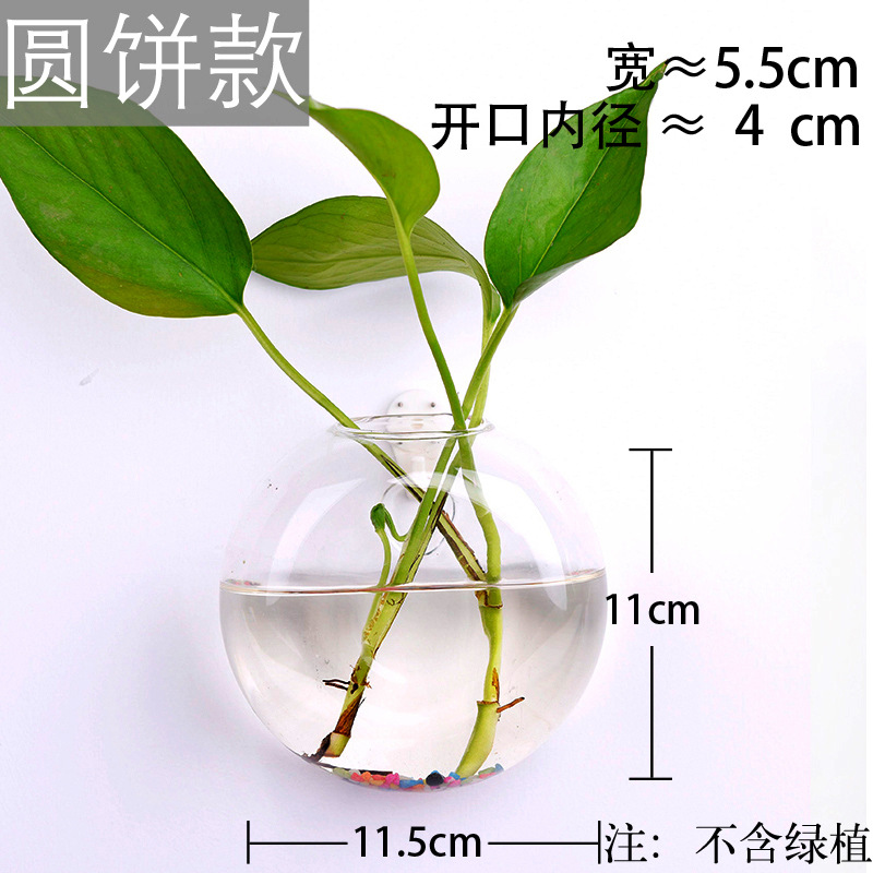Jarrón colgante de vidrio transparente hogar creativo colgante de pared tanque de peces colgante arreglo floral rábano verde florero de plantas acuáticas