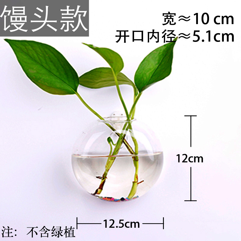 Jarrón colgante de vidrio transparente hogar creativo colgante de pared tanque de peces colgante arreglo floral rábano verde florero de plantas acuáticas