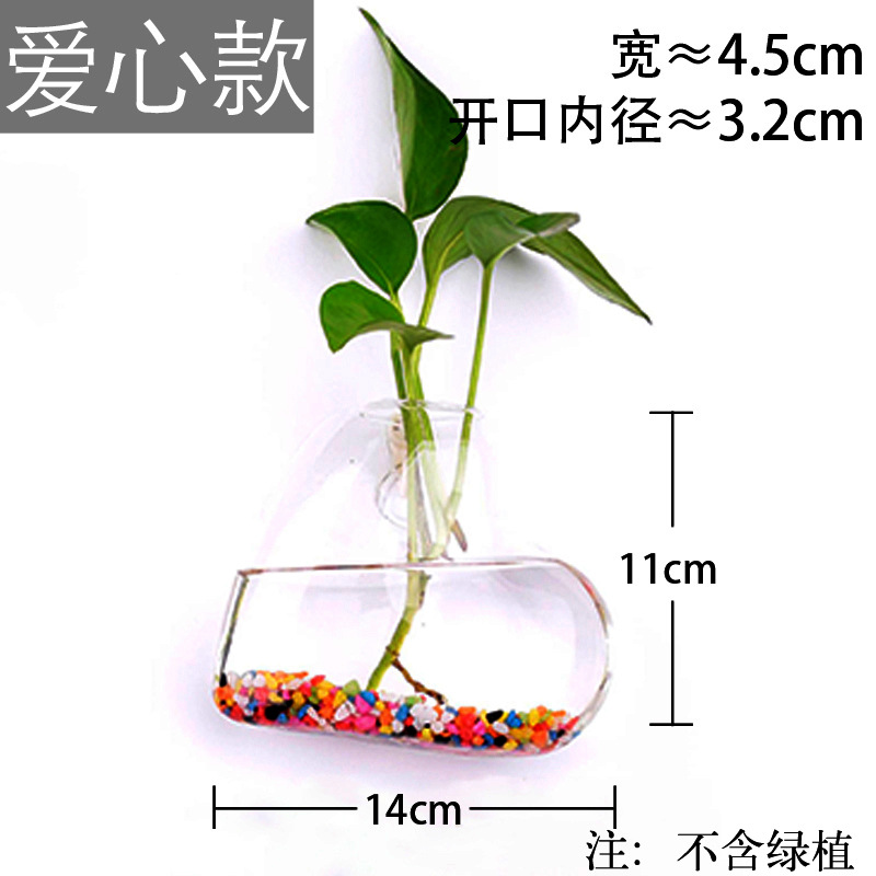 Jarrón colgante de vidrio transparente hogar creativo colgante de pared tanque de peces colgante arreglo floral rábano verde florero de plantas acuáticas