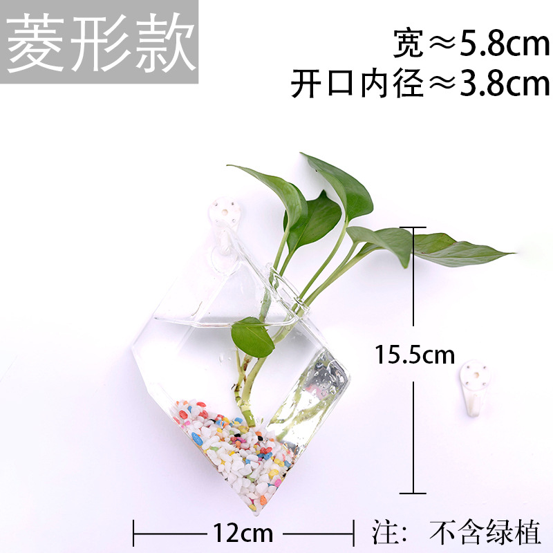 Jarrón colgante de vidrio transparente hogar creativo colgante de pared tanque de peces colgante arreglo floral rábano verde florero de plantas acuáticas