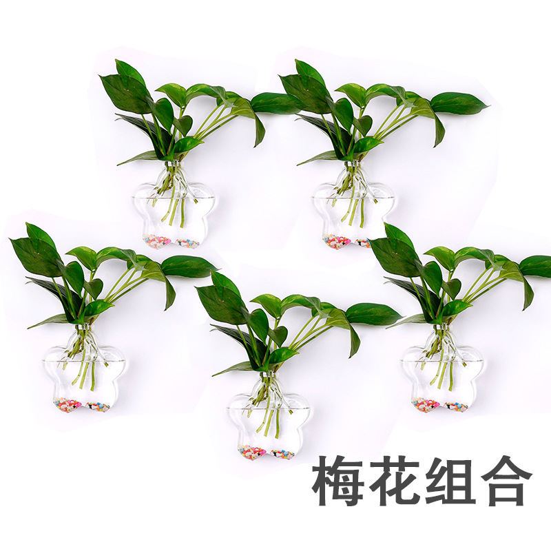 Jarrón colgante de vidrio transparente hogar creativo colgante de pared tanque de peces colgante arreglo floral rábano verde florero de plantas acuáticas