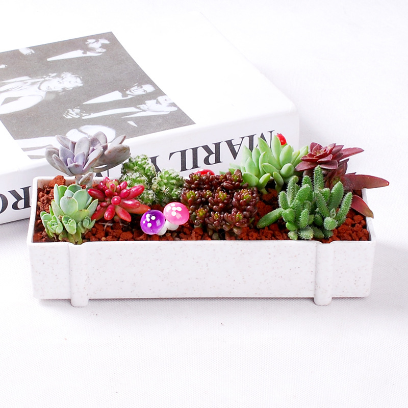 Set di combinazione creativa rettangolare in fibra vegetale, piccolo vaso di fiori in plastica per piante grasse_voghion.com