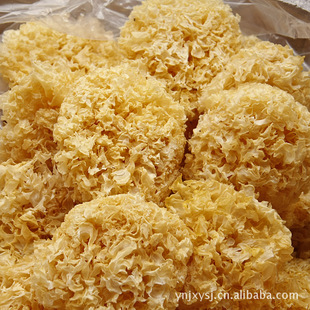 �y�����l ��ľ�� �����y�� ���y�� �y���r�� ����ʳ�þ�