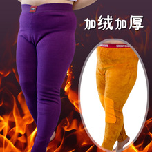 ������ӷʼӴ�ůѝ�ش�̖Ůʿ�ӽq�Ӻ��oϥ�������ˌ�����ѝ