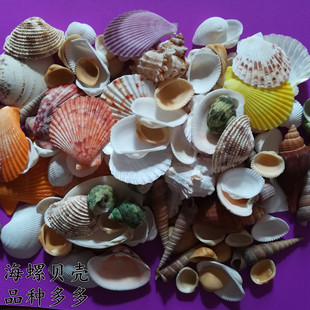 ����ؐ���~���쾰DIY�҃��b� �ֹ�����