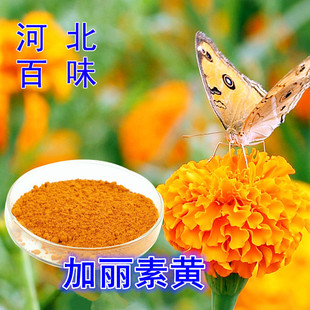 ���S��ɫ�����������S ԭ�b��˹�� �������Sɫ��