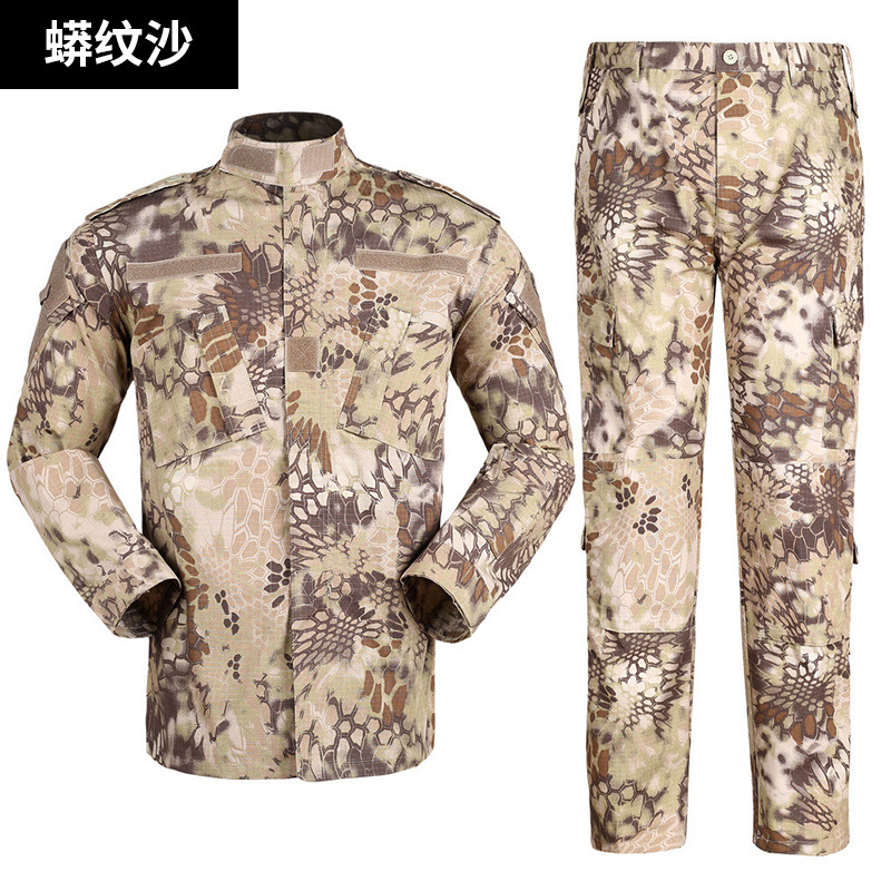 "Set" mosquito mosquito sand color camouflage grid