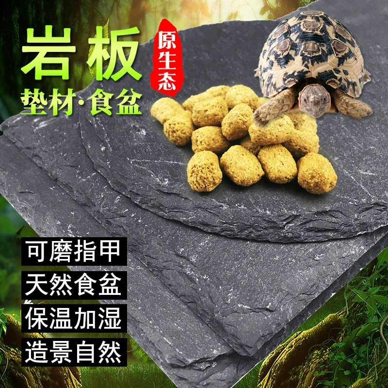 Черепаха шифер Pad натуральный камень пищевой бассейн пищевая тарелка каменная доска скалолазание домашнее животное коробка для черепах рептилия ящерица оригинальный экологический пейзаж