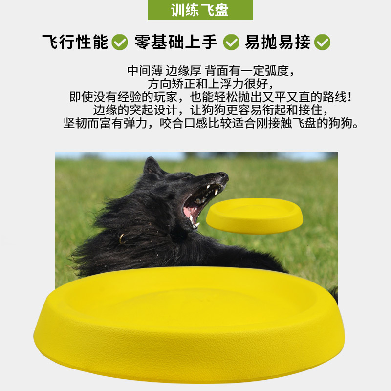 (2개) 애완 동물 강아지 프리스비 던지기 장난감 치아 연삭 및 물기 방지 개 장난감 훈련 재미 있은 애완 동물 장난감 용품 배치