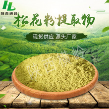 破壁松花提取物  50:1高比例松花粉提取  高破壁率松花原料粉