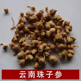 珠子参 云南地产中药材 扣子七疙瘩七钮子七批发