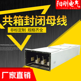 �S�ҹ���������]ĸ�� �߉�ĸ�� �����⚤���o ĸ��