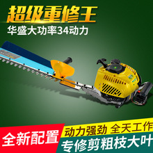 �G�h�C�S��ֱ�����_���ě_���p�оG�h�C늄ӈ@�ֹ���ֲ���Cе���l