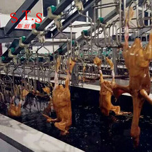 H���Z�Ԅ�պϞ��Ϟ�O�� ���ZȥСë��ˮ���O��Óë�ʸ߹�ʡ�˹�