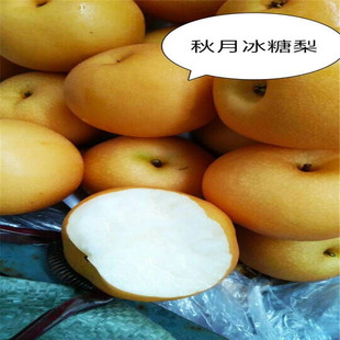���������������� �ڸд��� �����ϵ������ �a����