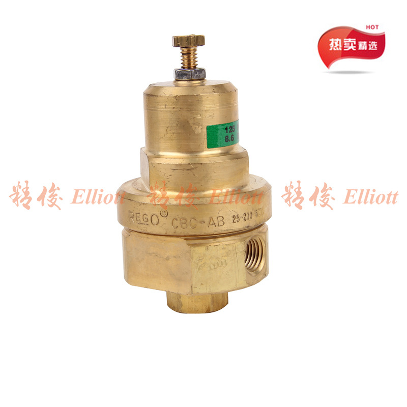 美国力高RegO经济调节阀CBC502-300杜瓦瓶低温气体组合阀2分可调